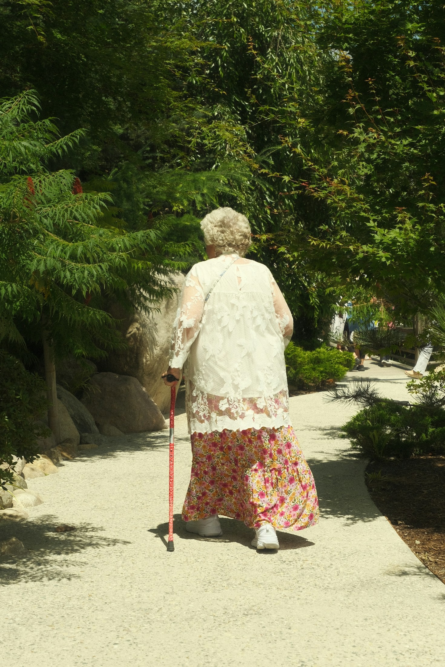 Your Guide to Senior Care Options in West Michigan